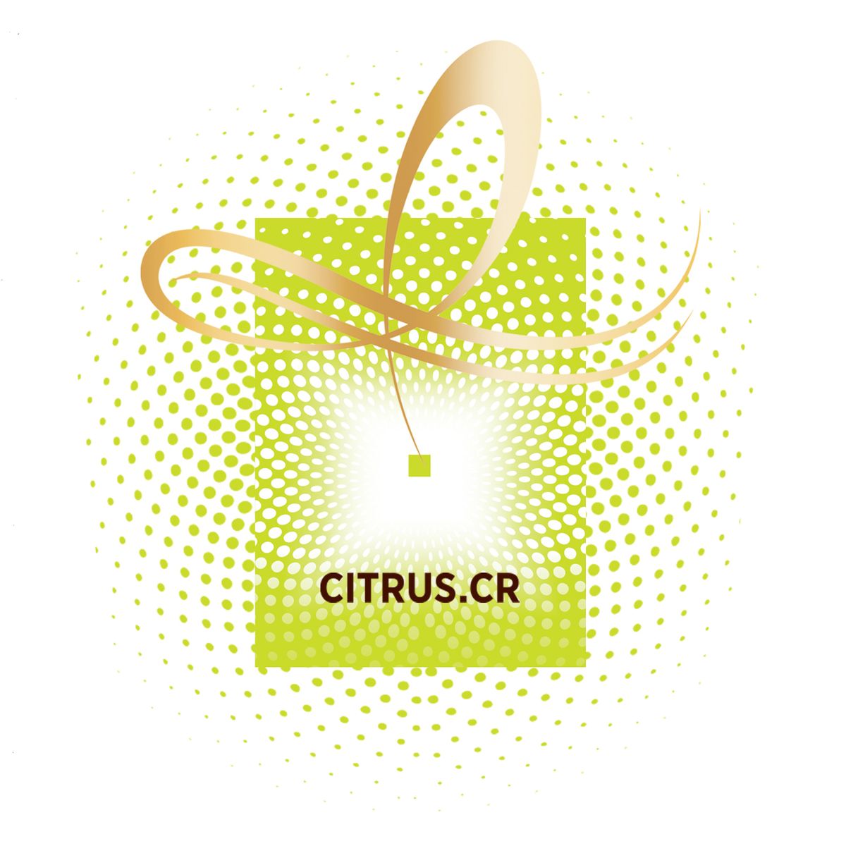 Shampoo Elvive Citrus Purificante 400 ml Farmalife